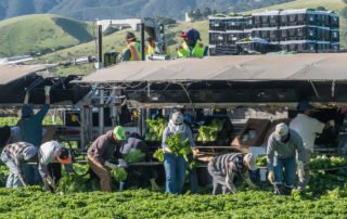 Workers compensation attorney - Farm Workers